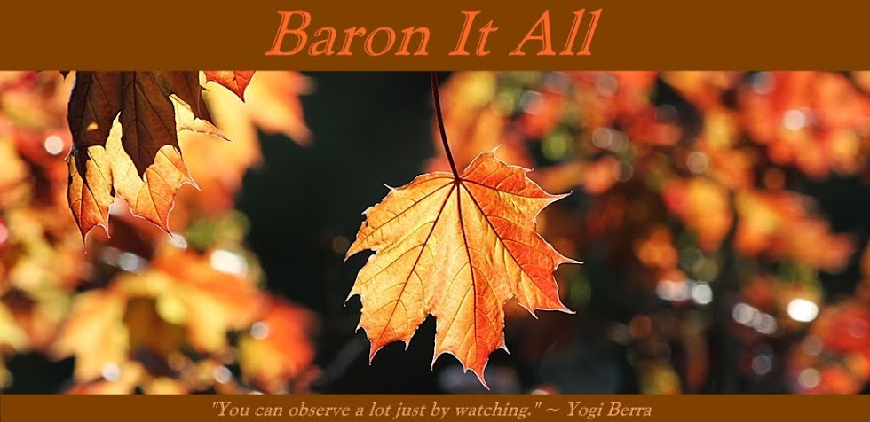 Baron It All