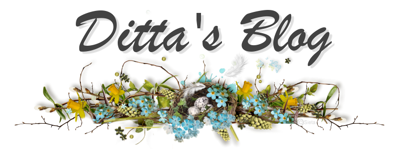 Ditta's blog
