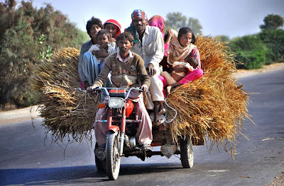 The farmers on motorcycle rickshaw loaded with rice crop, on the way at Larkana-Khairpur Road