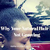 Why Your Natural Hair Is Not Growing