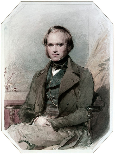 portrait of a young Charles Darwin by G. Richmond. Illustrated By . . . marchmatron.com portrait of a young Charles Darwin by G. Richmond. Illustrated By . . . marchmatron.com