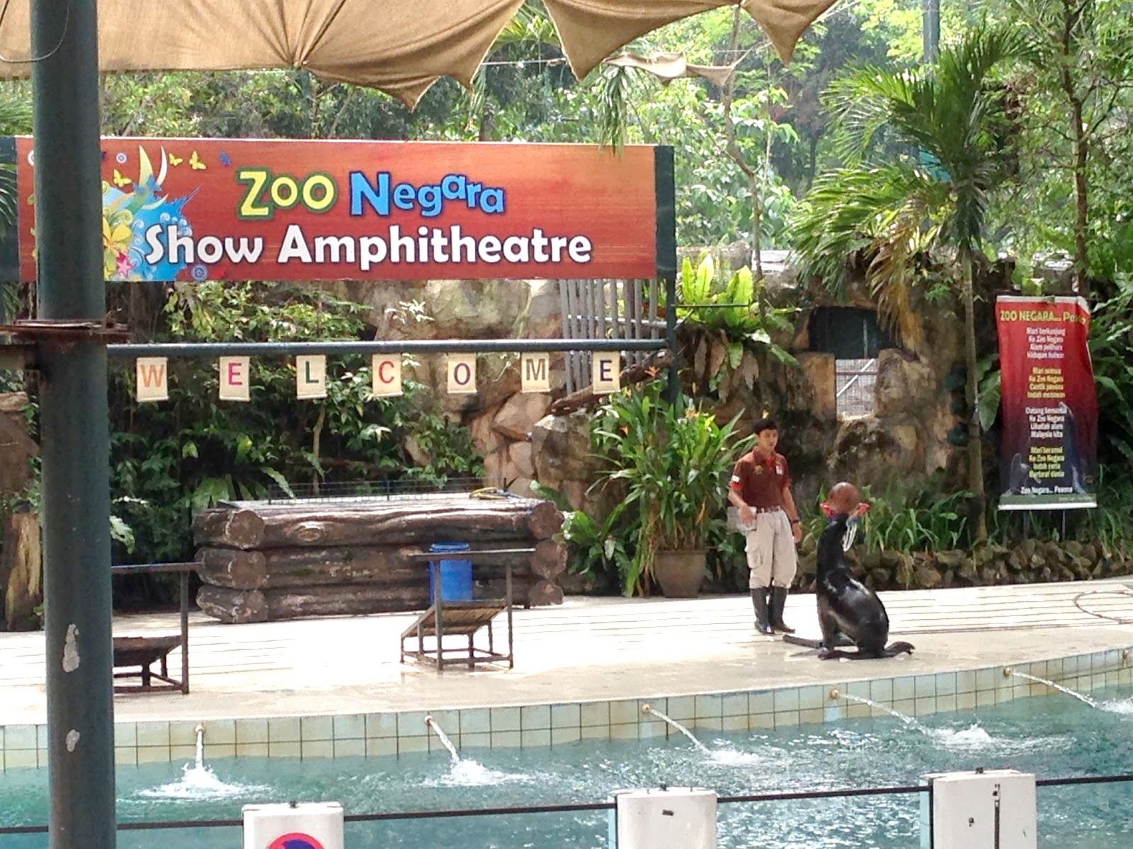 Gambar Zoo Negara Theme Park Ampang Gambar Binatang di Rebanas Rebanas