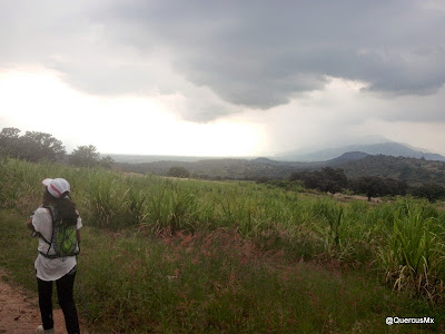 Faltan 5Km para llegar al Trapiche desde el Cerro Huicicil