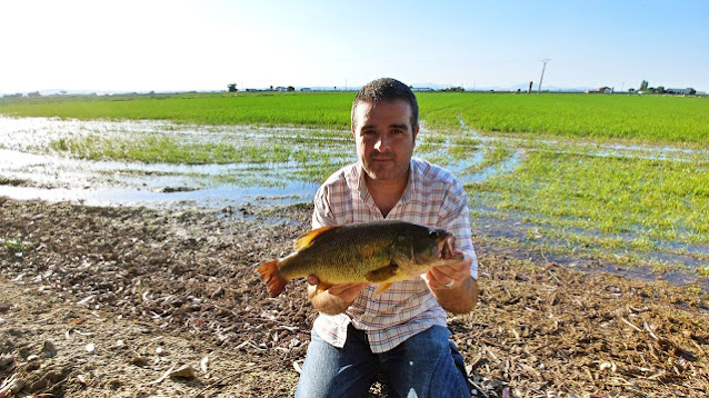 Black Bass del Río Guadiana