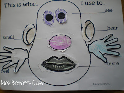 Five Senses learning ideas and fun activities with resources for teaching the 5 senses in Kindergarten- love the Potato Head craftivity! #fivesenses #5senses #kindergarten #kindergartenscience #science