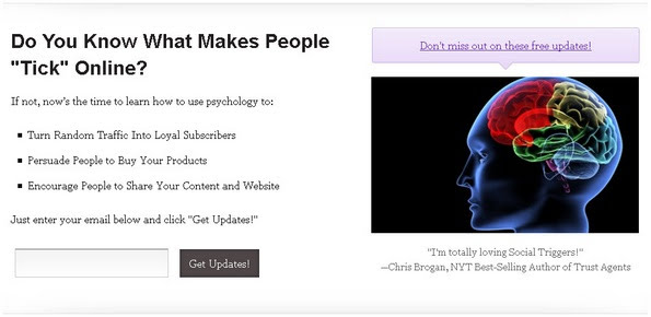 SocialTriggers home page opt-in box
