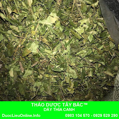 BẢO QUẢN DÂY THÌA CANH KHÔ