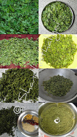 How to make drumstick leaves powder? How to clean murungai ilai easily? How to make murungai ilai podi?