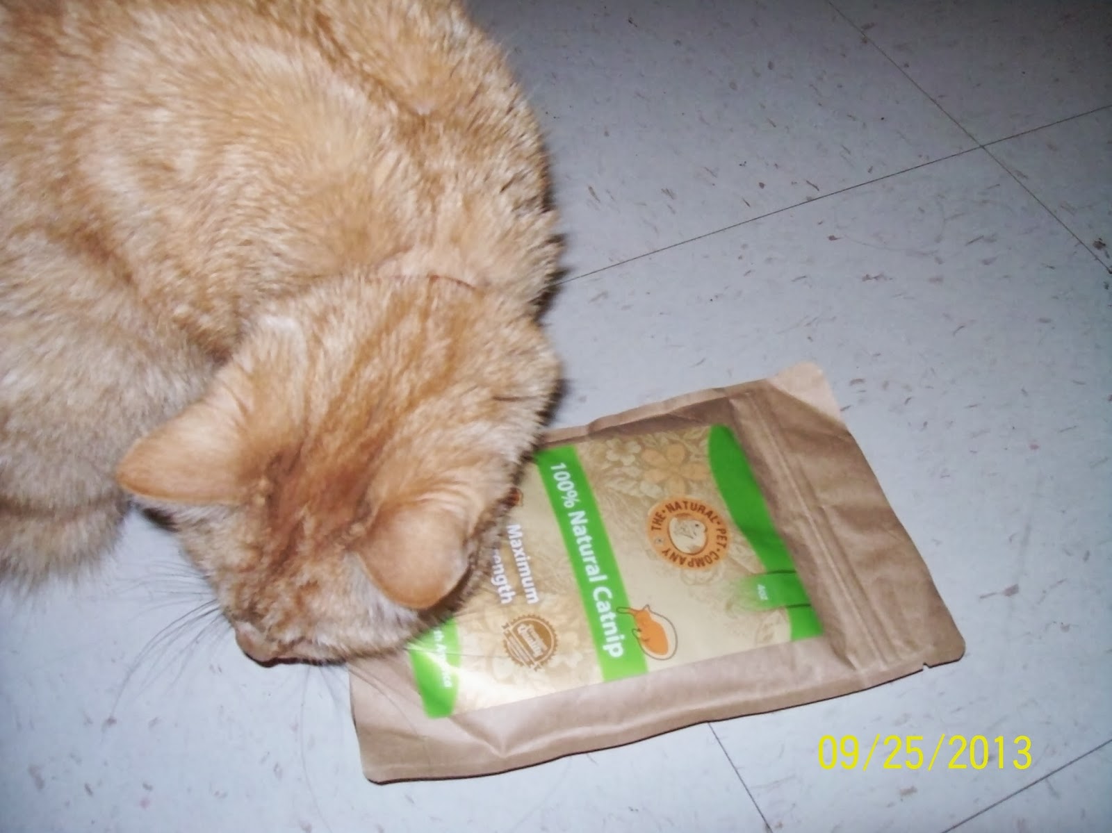 Fur Everywhere Review The Natural Pet Company Catnip