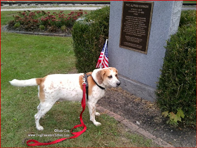 Dog Valentino Respectfully Stands at PVT. Alfred Cannon Memorial 