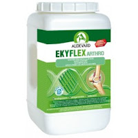  Ekyflex Arthro