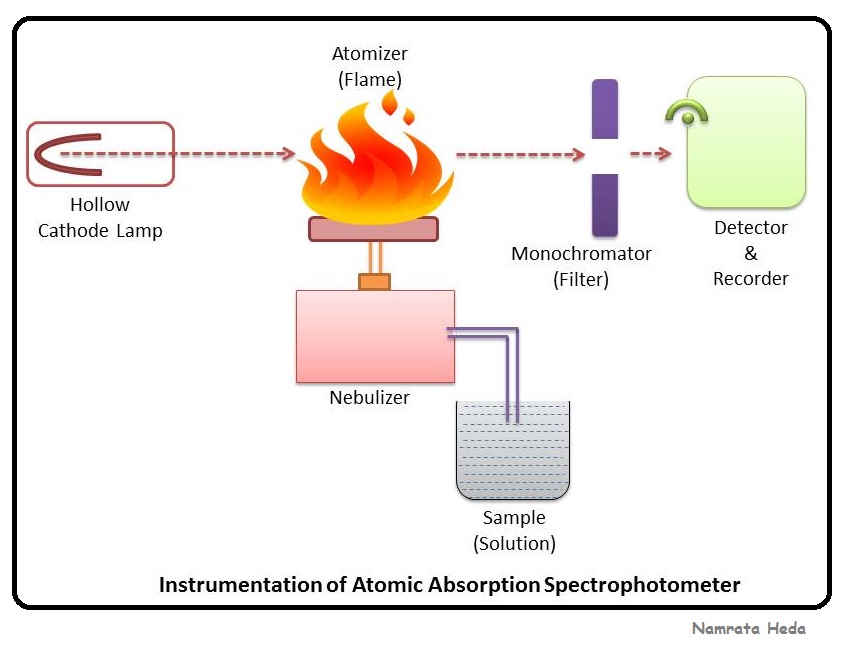 B for Biology: Spectrophotometry - Atomic Absorption Spectrophotometry