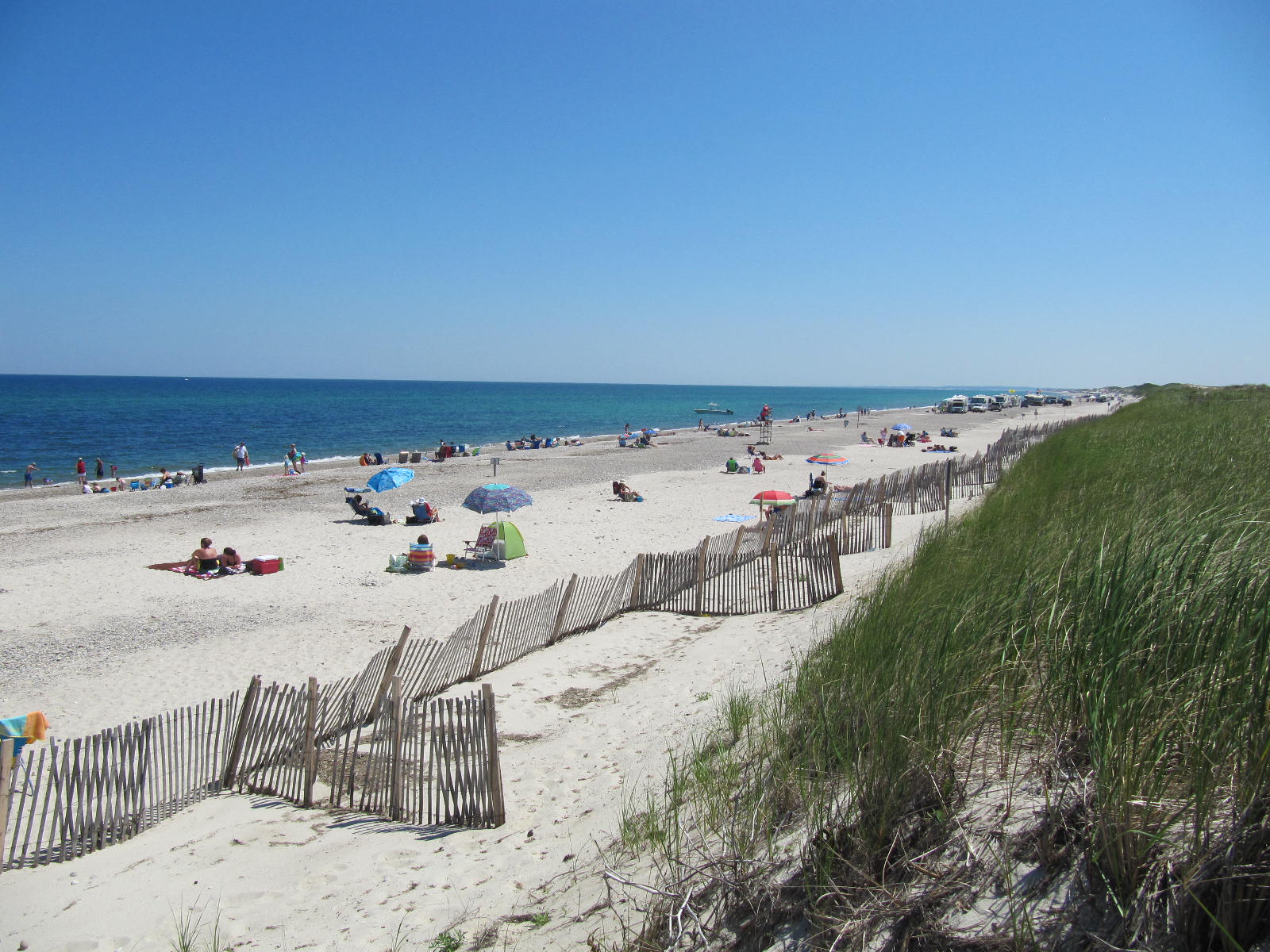 Livin' the Dream 2 "Sandy" Neck Beach