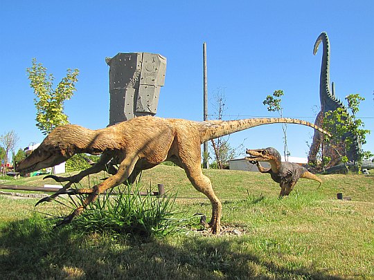 Welociraptor (Velociraptor)