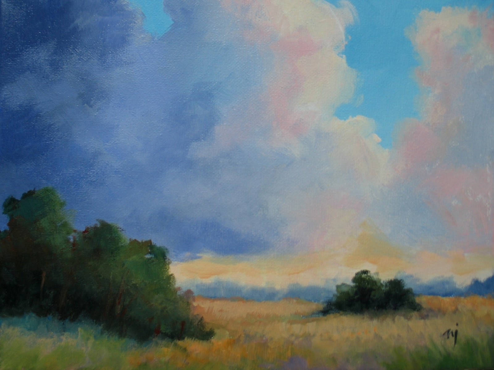 Nel's Everyday Painting Clouds, Oil, Acrylic SOLD