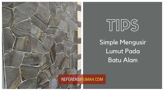 Batu Alam Terserang Lumut? Usir Dengan Tips Simple Ini Batu Alam Terserang Lumut? Usir Dengan Tips Simple Ini