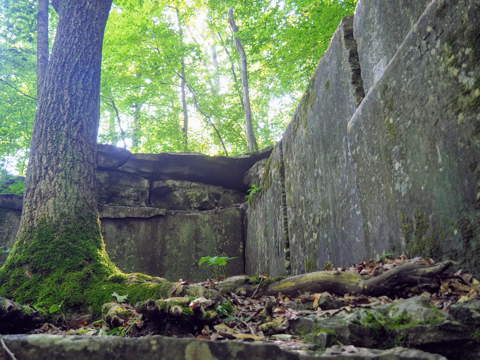 Spencer, IN McCormick's Creek State Park, Old State House Quarry