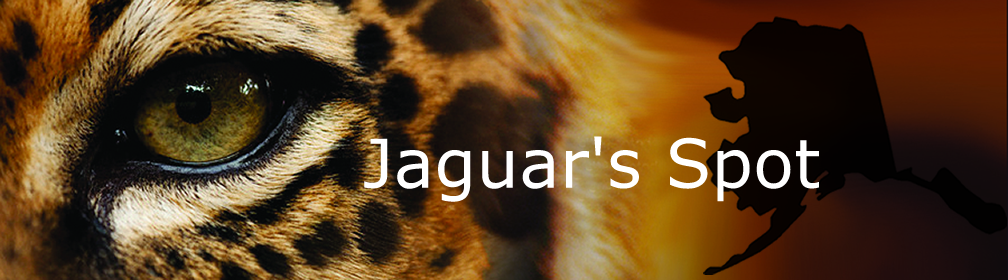Jaguar's Spot