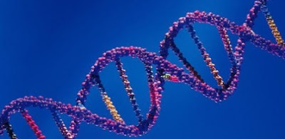 ADN y biologia genetica
