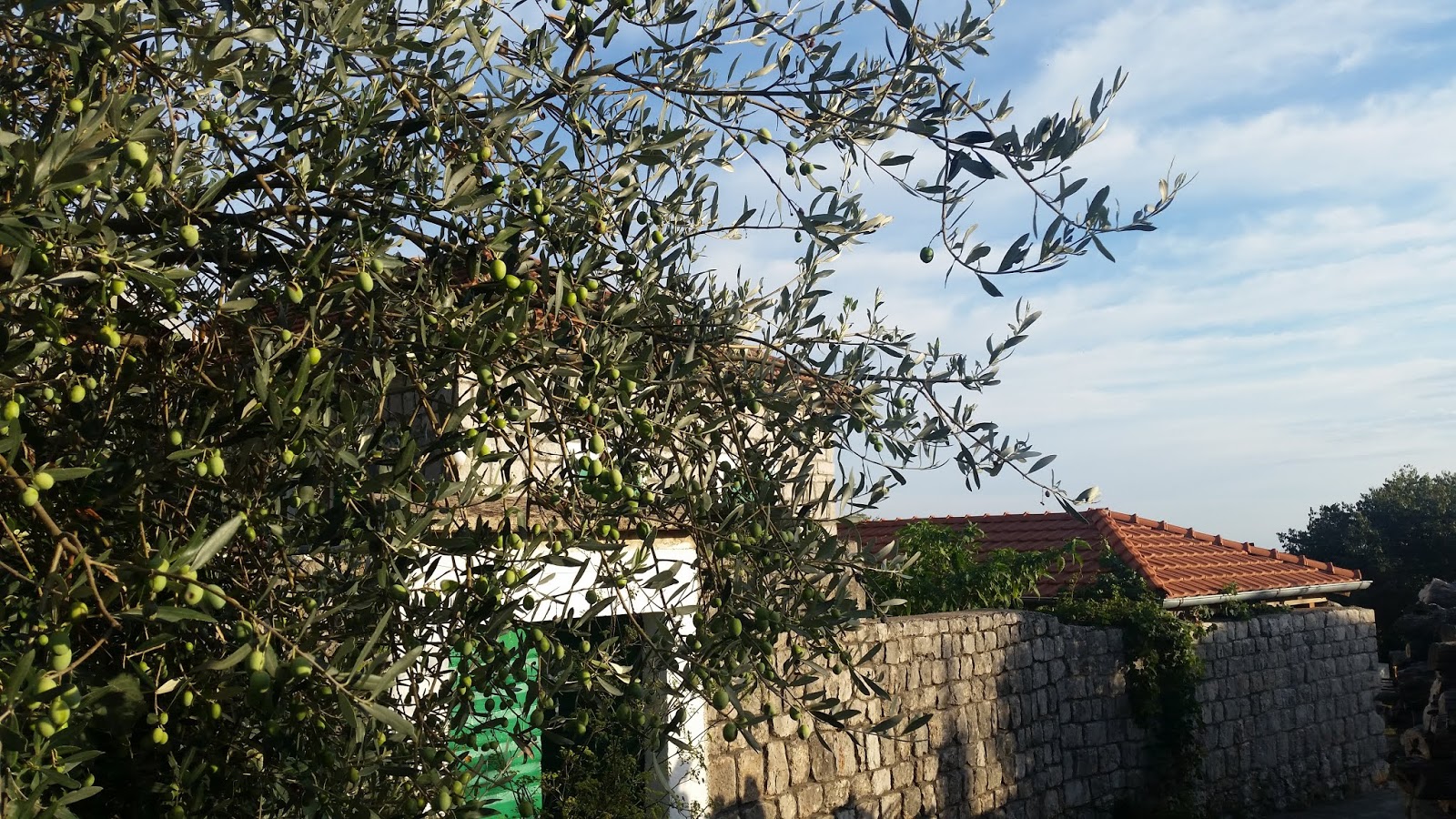 02 05 Hard Basement Pres The New Generation Klangkeller Dtc