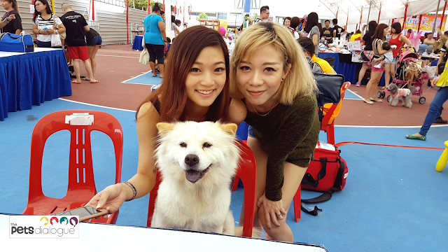 Nee Soon GRC Pets Fiesta 2017