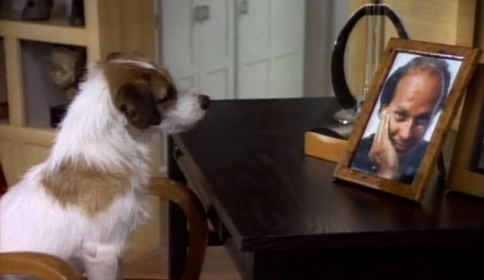 Martin Crane S Dog In Frasier Martin Crane S Dog In Frasier
