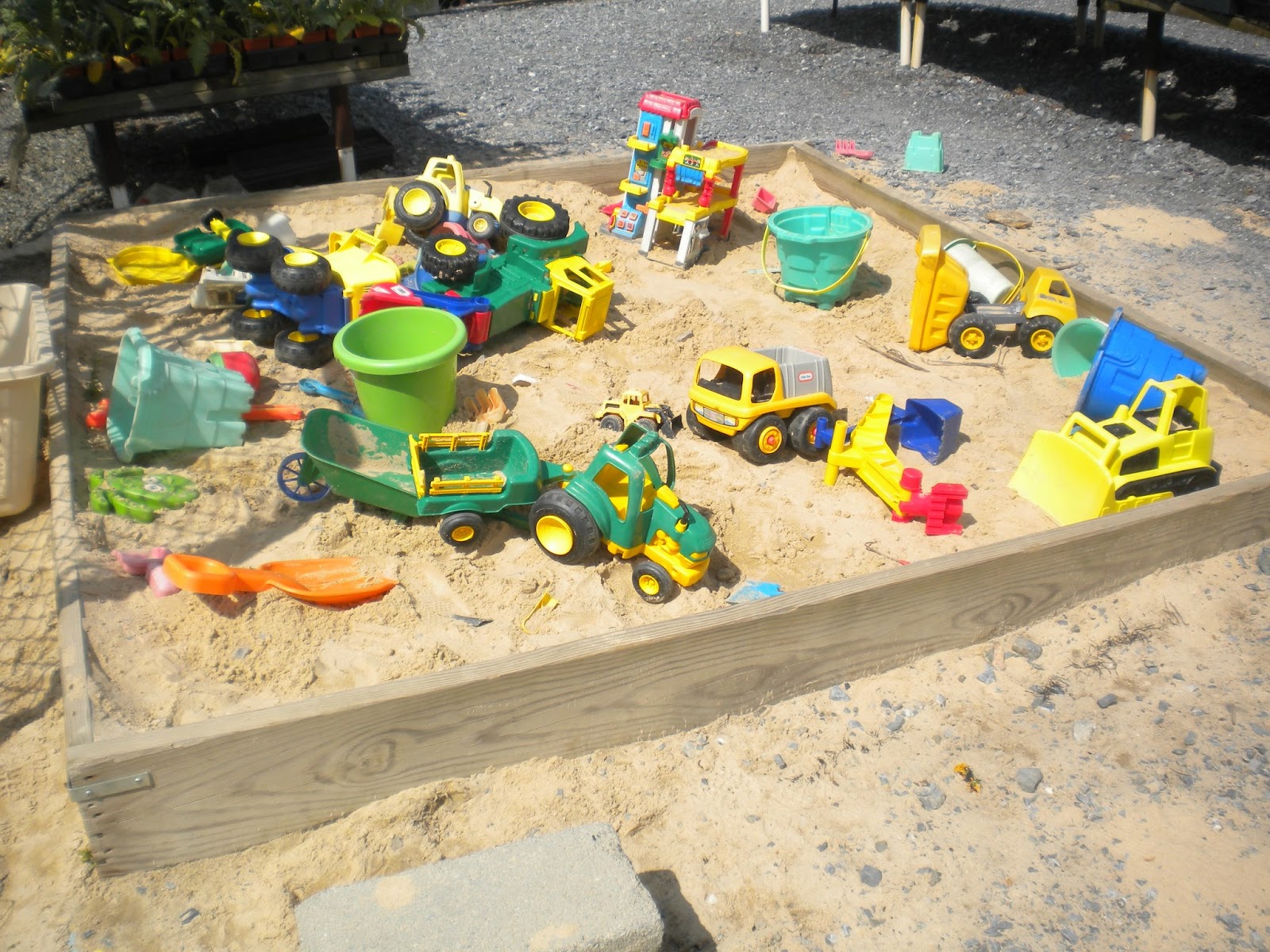 Groffs plant farm photos