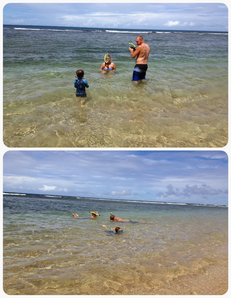 Blue Flamingos in Kauai Day 2 Let's Go, Beaches!