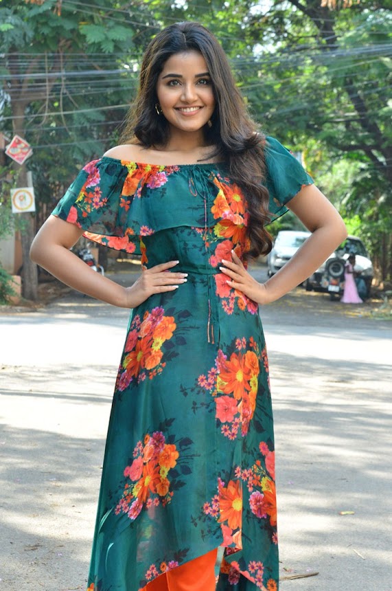 Anupama Parameswaran at Hello Guru Prema Kosame Promotions