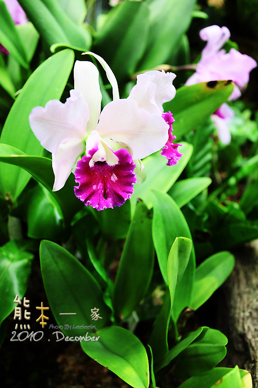 花博新生園區|未來館~台灣四大生態總匯集
