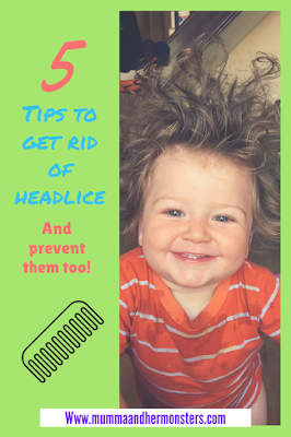 headlice tips headlice tips