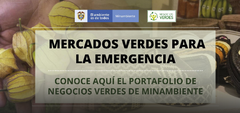 Portafolio de negocios verdes