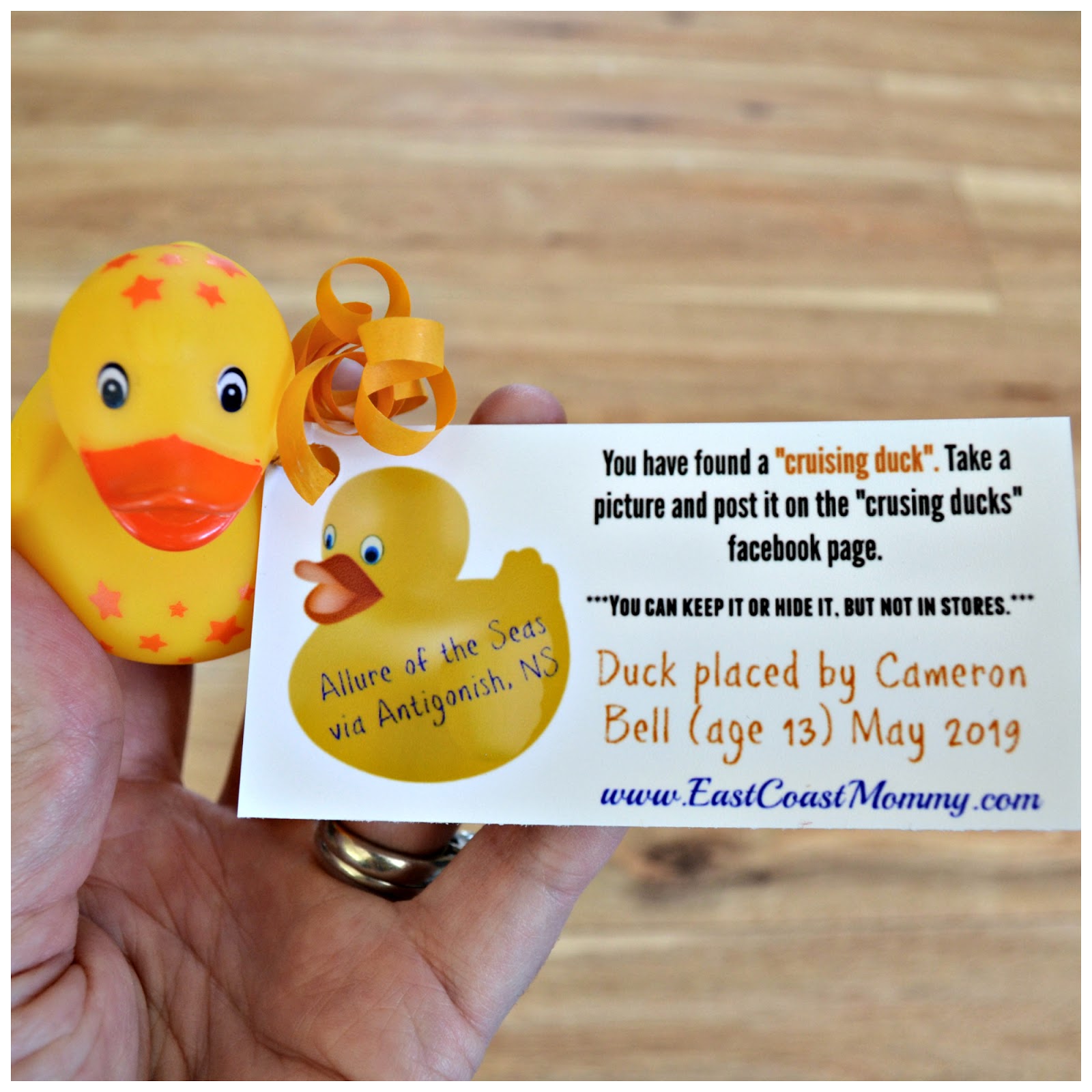 Cruising Ducks Template Printable Form Templates And Letter
