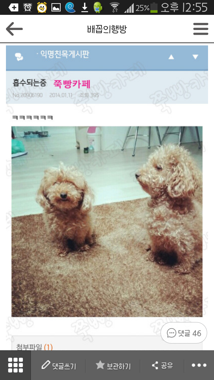 요즘에 그 이미쉘인가 걘 뭐하냐 | 인스티즈