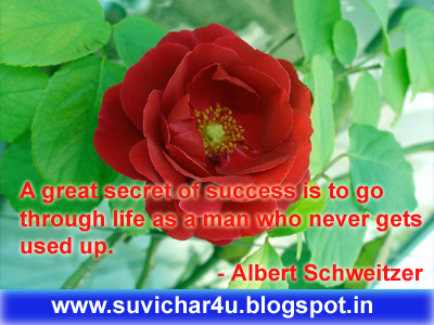 A great secret of success is to go through life as a man who never gets used up