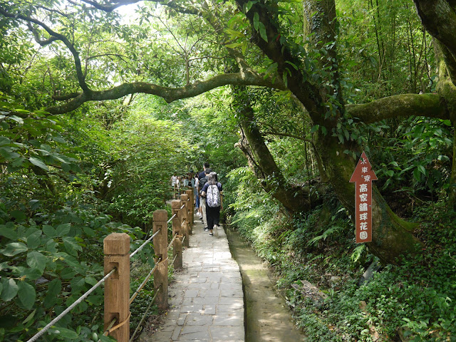 2017, summer 走吧去陽明山竹子湖看繡球花