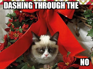 grumpy cat funny meme depressed moggy
