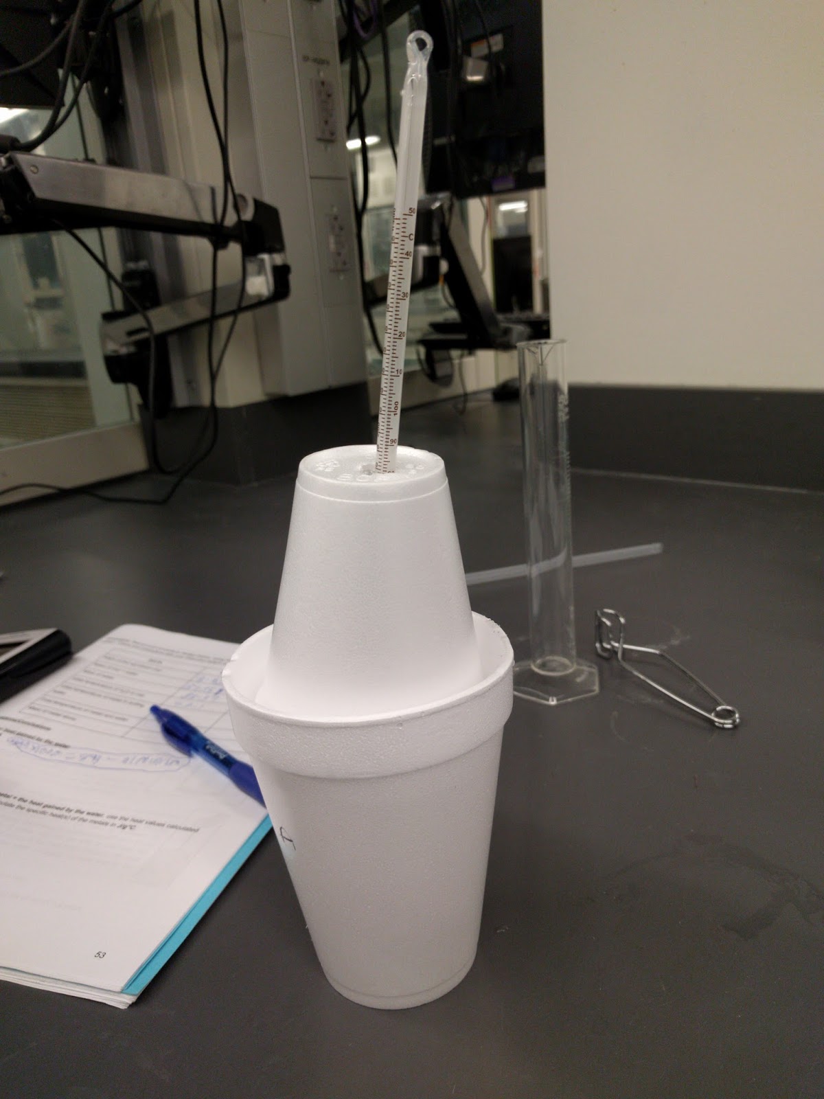 Lab Styrofoam Cup