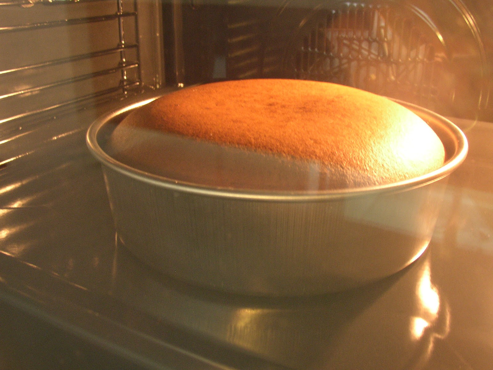 Life Is An Illusion Chocolate Sponge Cake