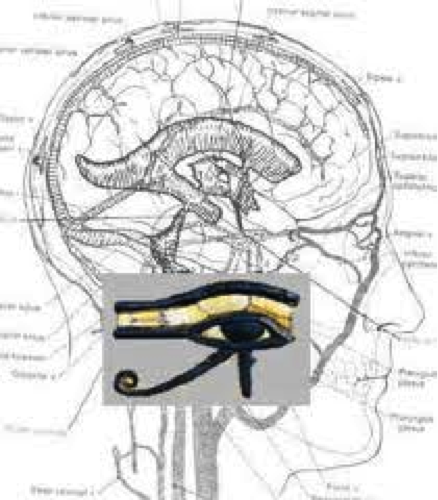 Pineal-Horus-2.png