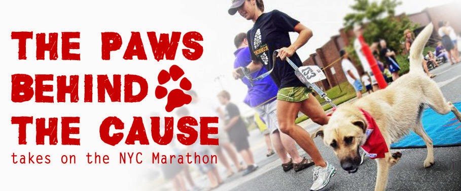Paws behind the Cause takes on the NYC Marathon