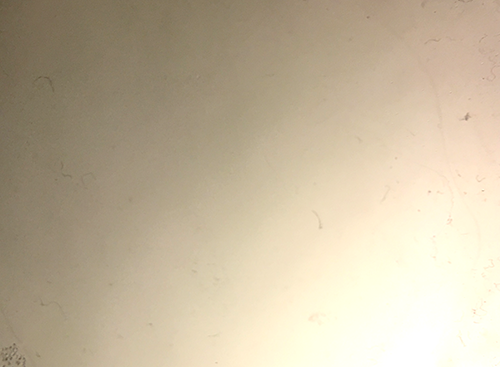 Пыль в объективе на что влияет. Смотреть фото Пыль в объективе на что влияет. Смотреть картинку Пыль в объективе на что влияет. Картинка про Пыль в объективе на что влияет. Фото Пыль в объективе на что влияет Пыль в объективе на что влияет. Смотреть фото Пыль в объективе на что влияет. Смотреть картинку Пыль в объективе на что влияет. Картинка про Пыль в объективе на что влияет. Фото Пыль в объективе на что влияет