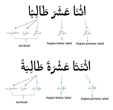 aturan bilangan dua belas dan contoh kalimat dalam bahasa arab
