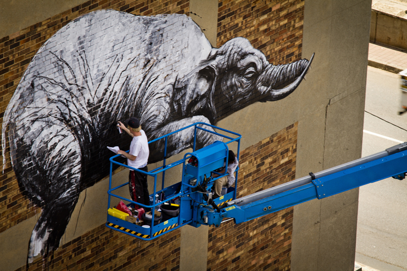 ROA New Mural In Progress, Johannesburg, South Africa StreetArtNews
