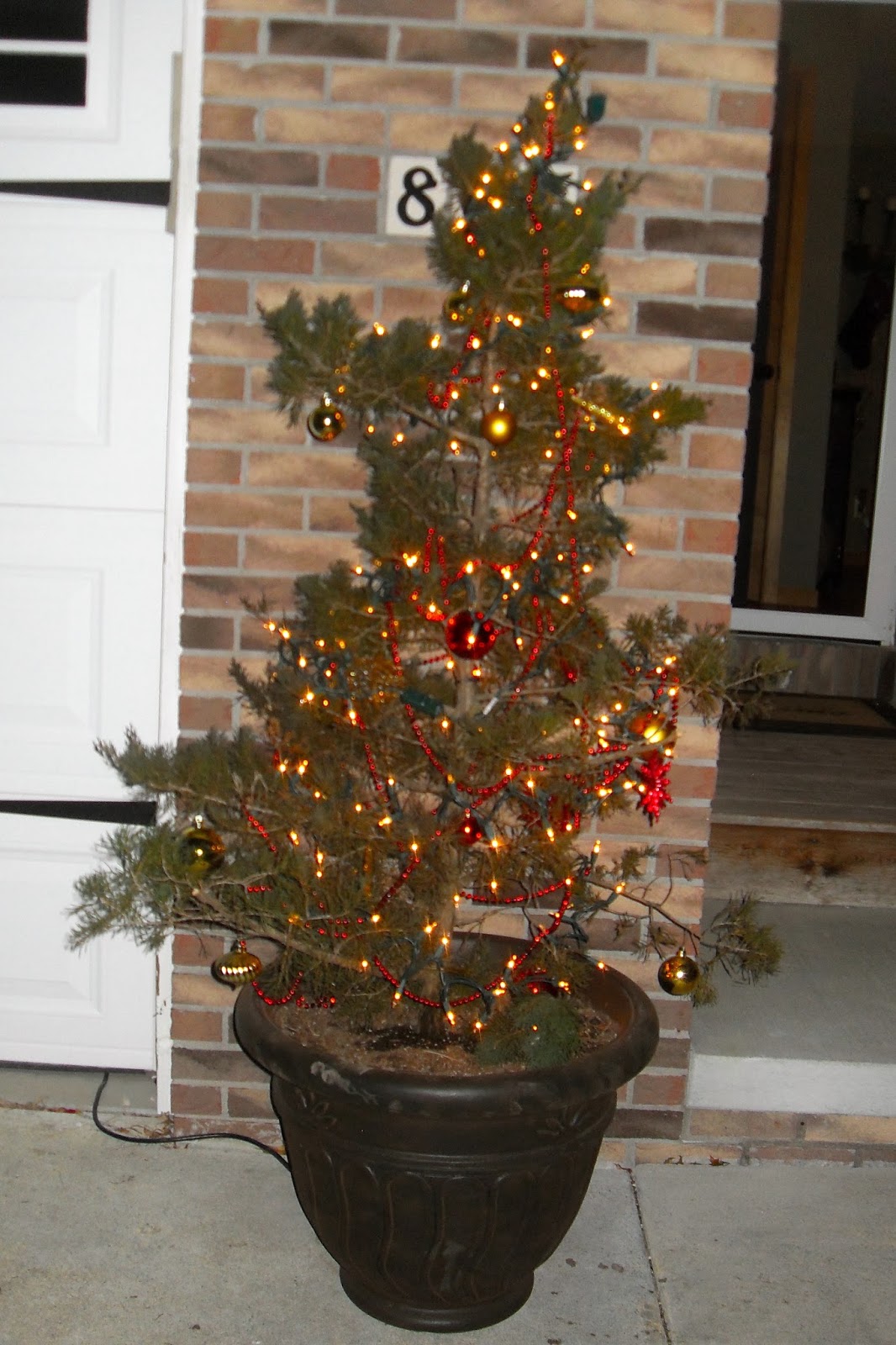 DIY Why Spend More Free outdoor Christmas trees