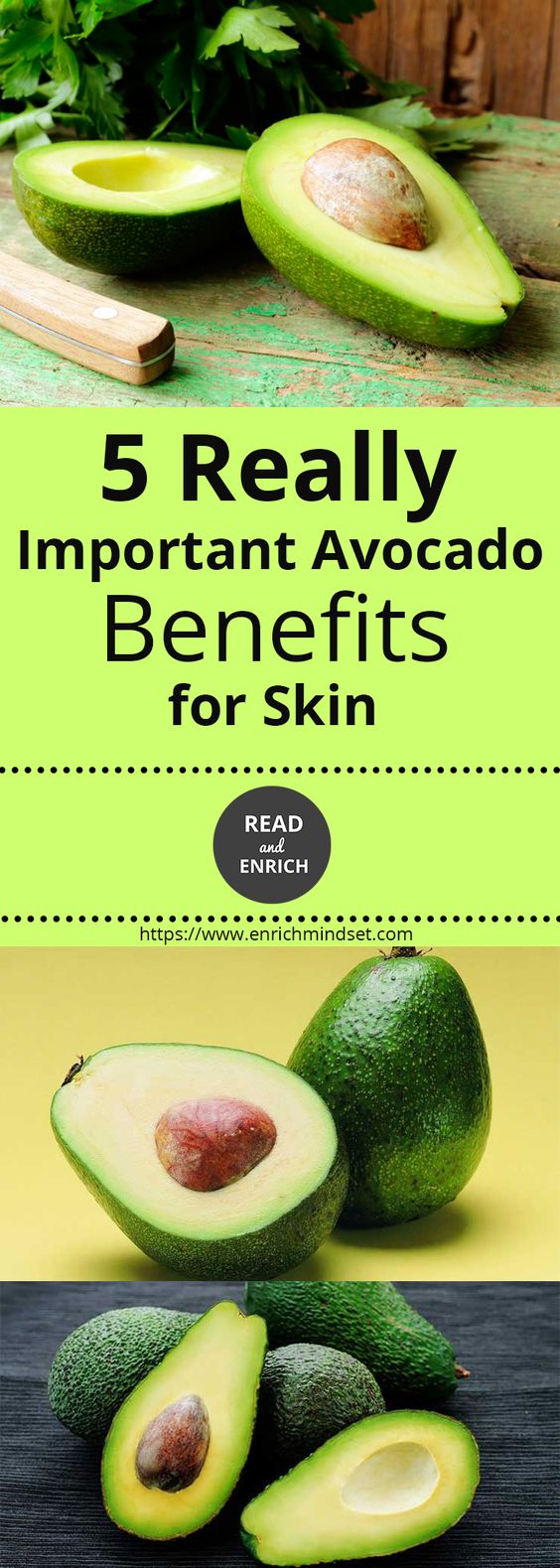 5 Really Important Avocado Benefits for Skin HEALTH RECIPES