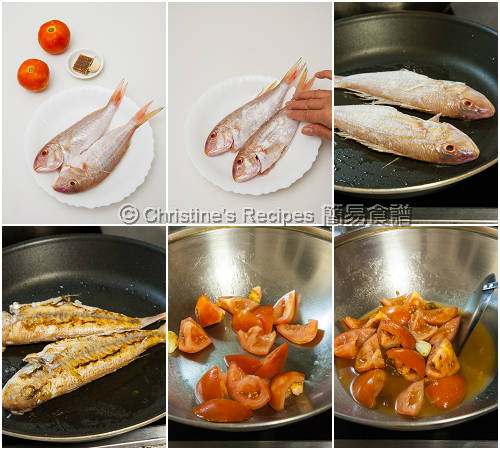 鮮茄紅衫魚製作圖 Pan-Fried Golden Threadfin Breams in Tomato Sauce Procedures