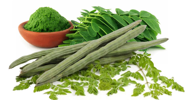 Dr Ajays Homeopathy Moringa Olelifera(DRUM STICK) It's