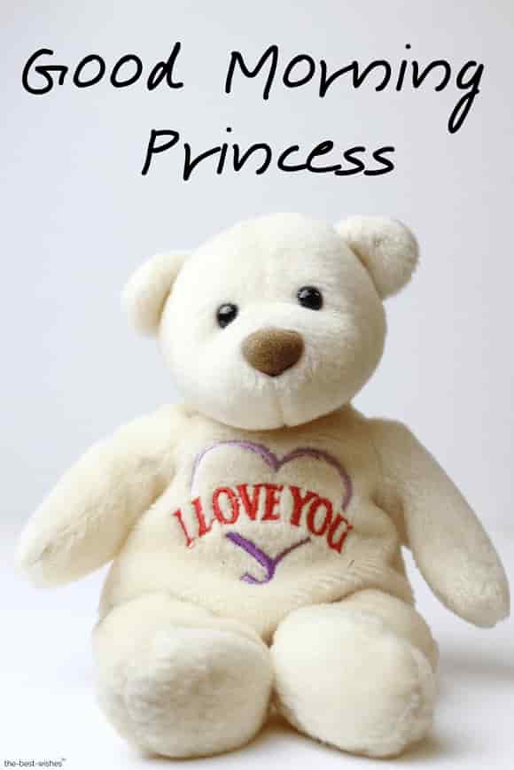 good-morning-princess-with-teddy-bear good morning princess with teddy bear