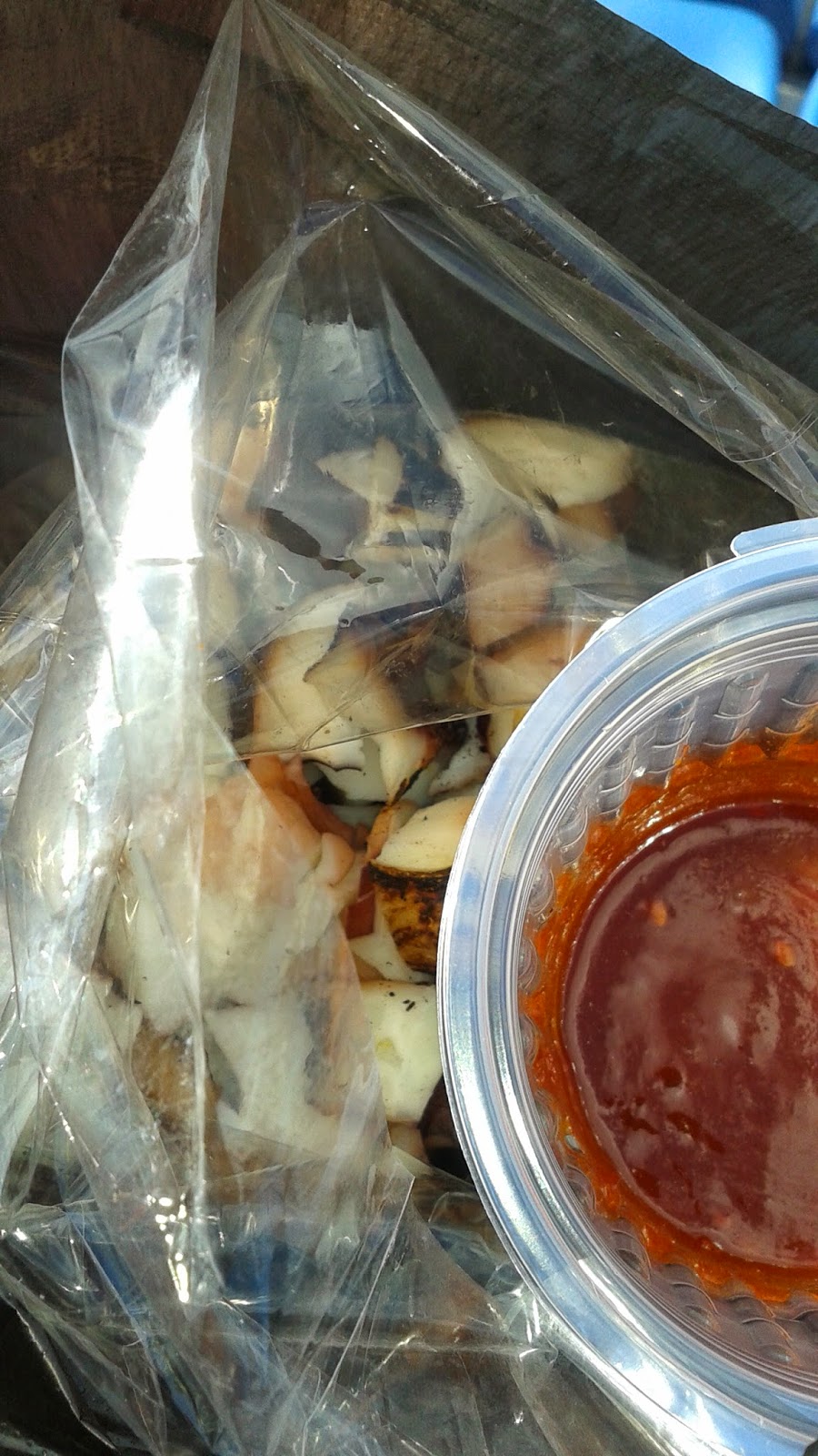 Chuiee's Adventures First Baseball Game in S. Korea